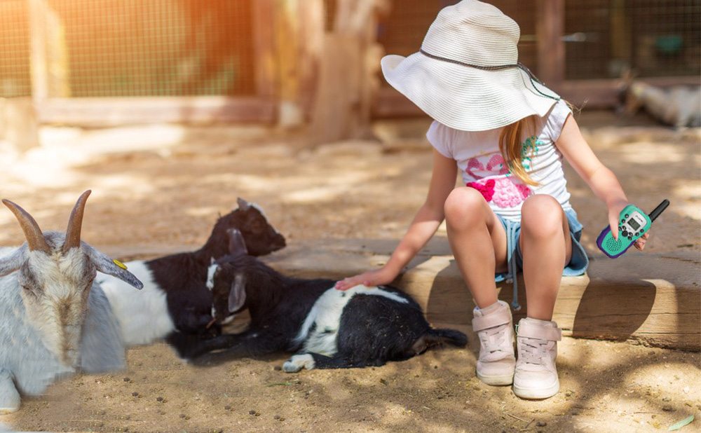 Why Going to the Zoo Helps Children Grow