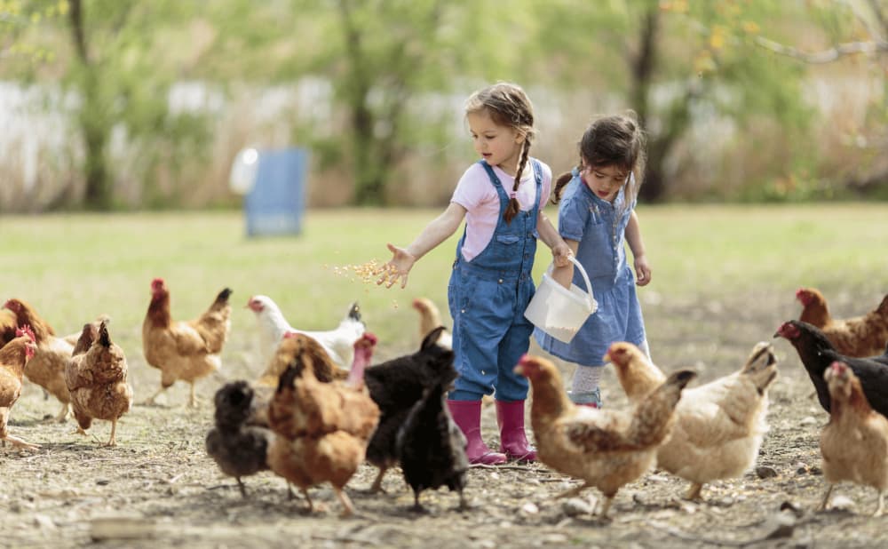 Raising Kids On A Homestead Is A Good Thing for Kids